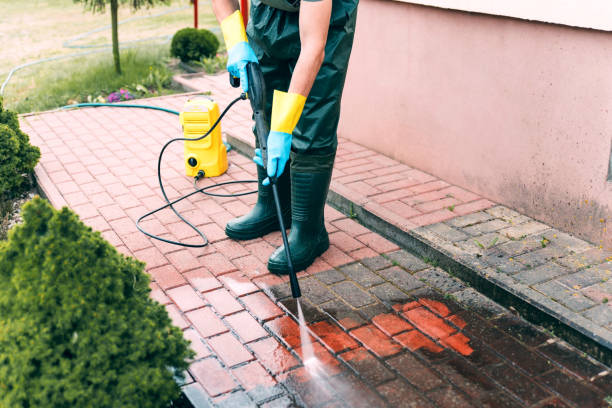 Best Soft Washing for Delicate Surfaces in Davis, CA